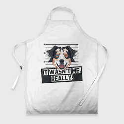 Фартук Австралийская Овчарка Australian Shepherd