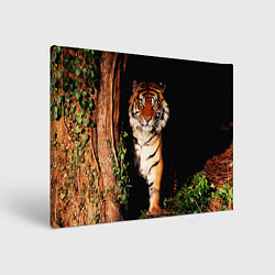 Картина прямоугольная Тигр выглядывает из темноты - большая картинка