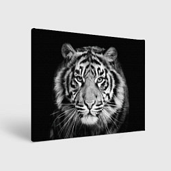 Холст прямоугольный Мордочка тигра, цвет: 3D-принт