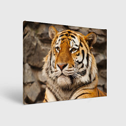 Холст прямоугольный Мудрый тигр, цвет: 3D-принт