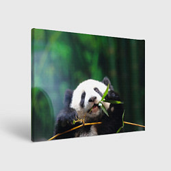 Холст прямоугольный Панда на ветке, цвет: 3D-принт
