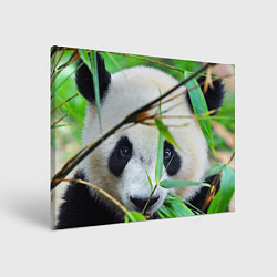 Холст прямоугольный Панда в лесу, цвет: 3D-принт