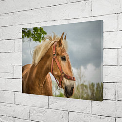 Холст прямоугольный Игривая лошадка, цвет: 3D-принт — фото 2