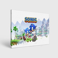Холст прямоугольный Sonic Stories, цвет: 3D-принт