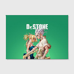 Холст прямоугольный Dr Stone, цвет: 3D-принт — фото 2