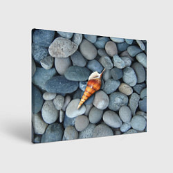 Холст прямоугольный Одинокая ракушка среди морских камней, цвет: 3D-принт