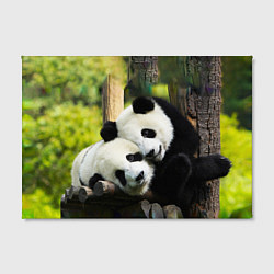 Холст прямоугольный Влюблённые панды, цвет: 3D-принт — фото 2