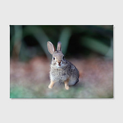 Холст прямоугольный Малыш кролик, цвет: 3D-принт — фото 2