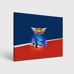 Холст прямоугольный Team Sonic Racing - Ёжик и его точило, цвет: 3D-принт