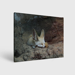 Холст прямоугольный Фенек, цвет: 3D-принт