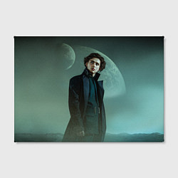 Холст прямоугольный Timothee Chalamet in the desert, цвет: 3D-принт — фото 2