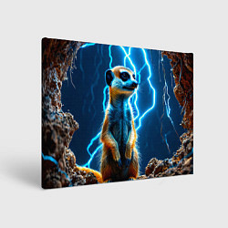 Холст прямоугольный Сурикат в разрядах молний, цвет: 3D-принт