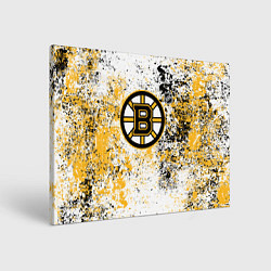 Картина прямоугольная Boston Bruins NHL white