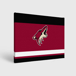 Картина прямоугольная Arizona Coyotes