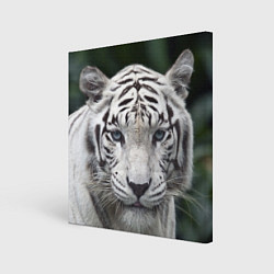 Картина квадратная Белый тигр