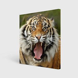 Холст квадратный Удивленный тигр, цвет: 3D-принт
