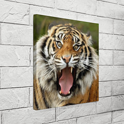 Холст квадратный Удивленный тигр, цвет: 3D-принт — фото 2