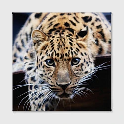 Холст квадратный Дикая кошка, цвет: 3D-принт — фото 2