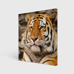 Холст квадратный Мудрый тигр, цвет: 3D-принт