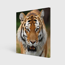 Холст квадратный Рык тигра, цвет: 3D-принт