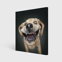Холст квадратный Улыбающаяся Собака, цвет: 3D-принт