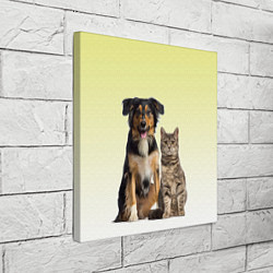 Холст квадратный Кошка и собака друзья, цвет: 3D-принт — фото 2