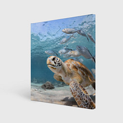 Холст квадратный Морская черепаха, цвет: 3D-принт