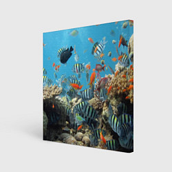 Холст квадратный Коралловые рыбки, цвет: 3D-принт