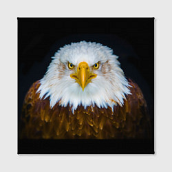Холст квадратный Белоголовый орлан, цвет: 3D-принт — фото 2