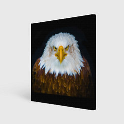 Холст квадратный Белоголовый орлан, цвет: 3D-принт