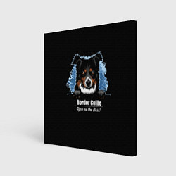 Холст квадратный Бордер-Колли Border-Collie, цвет: 3D-принт
