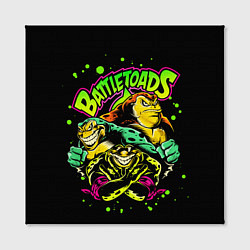 Холст квадратный Battletoads Боевые Жабы, цвет: 3D-принт — фото 2