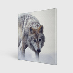Холст квадратный Волк зимой, цвет: 3D-принт