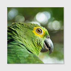 Холст квадратный Попугaй, цвет: 3D-принт — фото 2