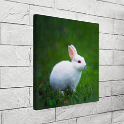 Холст квадратный Кролик на фоне травы, цвет: 3D-принт — фото 2