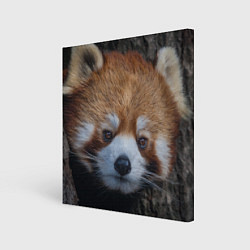 Холст квадратный Крaсная панда, цвет: 3D-принт