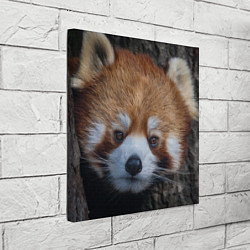 Холст квадратный Крaсная панда, цвет: 3D-принт — фото 2