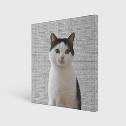 Холст квадратный Задумчивый котик, цвет: 3D-принт