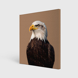 Холст квадратный Белоголовый орлан птица, цвет: 3D-принт