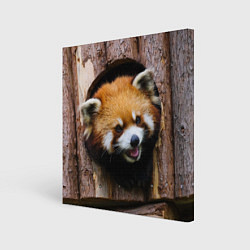 Холст квадратный Красная панда в дереве, цвет: 3D-принт