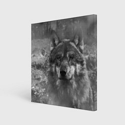 Холст квадратный Серый волк на сером фоне, цвет: 3D-принт