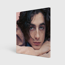 Холст квадратный Timothe Chalamet on a pink background, цвет: 3D-принт