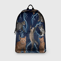 Рюкзак Коты, цвет: 3D-принт — фото 2