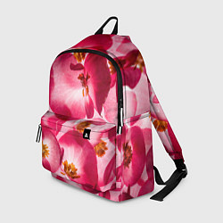 Рюкзак Цветы бегония текстура, цвет: 3D-принт