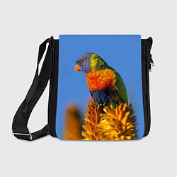 Сумка на плечо Попугай на солнце, цвет: 3D-принт