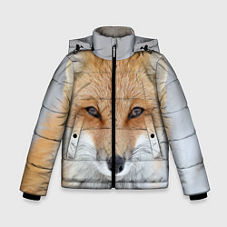 Куртка зимняя для мальчика Зимняя лиса, цвет: 3D-светло-серый