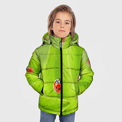 Куртка зимняя для мальчика Жучки на травке, цвет: 3D-черный — фото 2