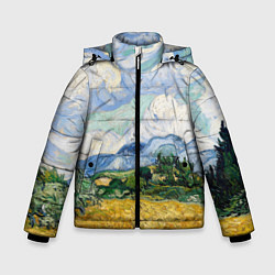 Зимняя куртка для мальчика Ван Гог Картина