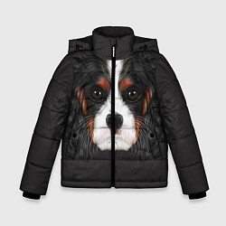 Куртка зимняя для мальчика Cavalier King Charles, цвет: 3D-красный