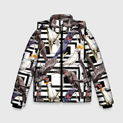 Куртка зимняя для мальчика Попугаи Какаду, цвет: 3D-светло-серый